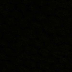 Meet your Posher, Sid